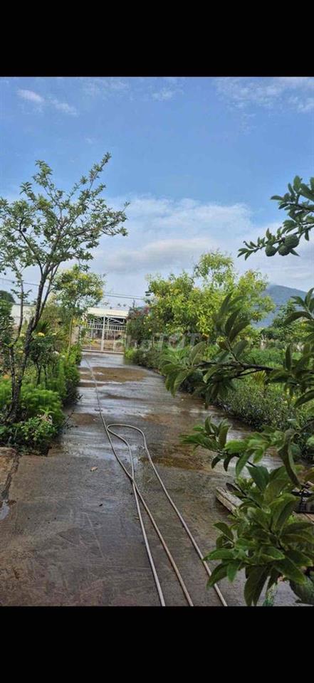 Cần bán 6.281m² (6 sào 2) đất Xuân Lộc. Gần Tỉnh Lộ 766