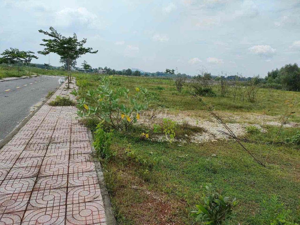 Nhanh tay chốt lẹ