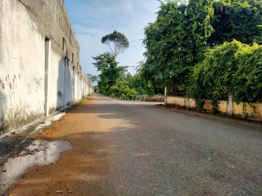 BÁN ĐẤT TAM LONG