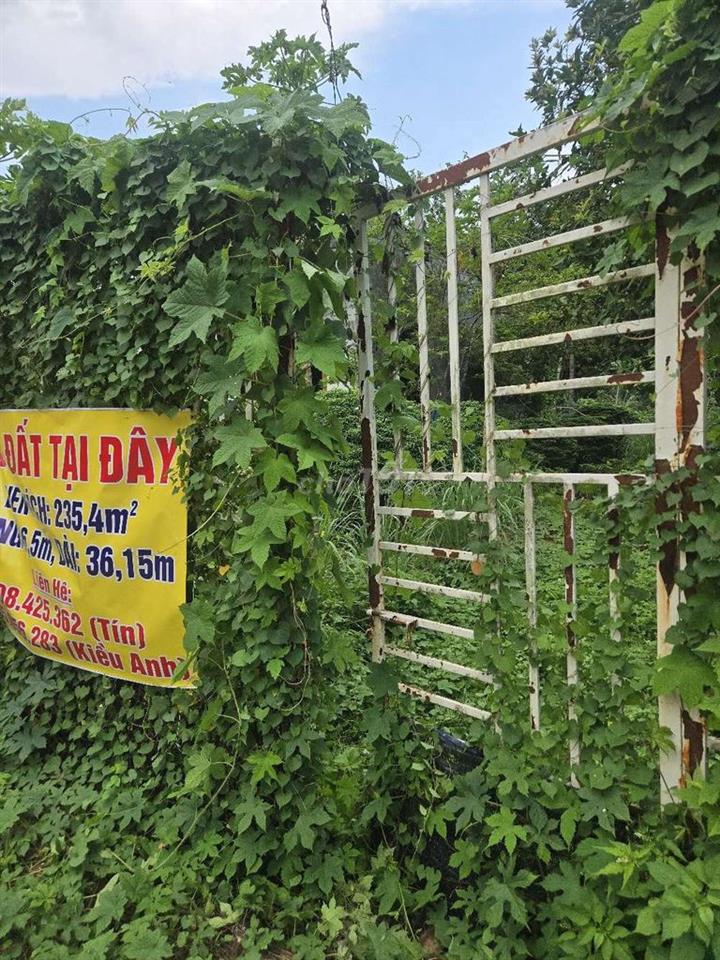 BĐS NGỘP