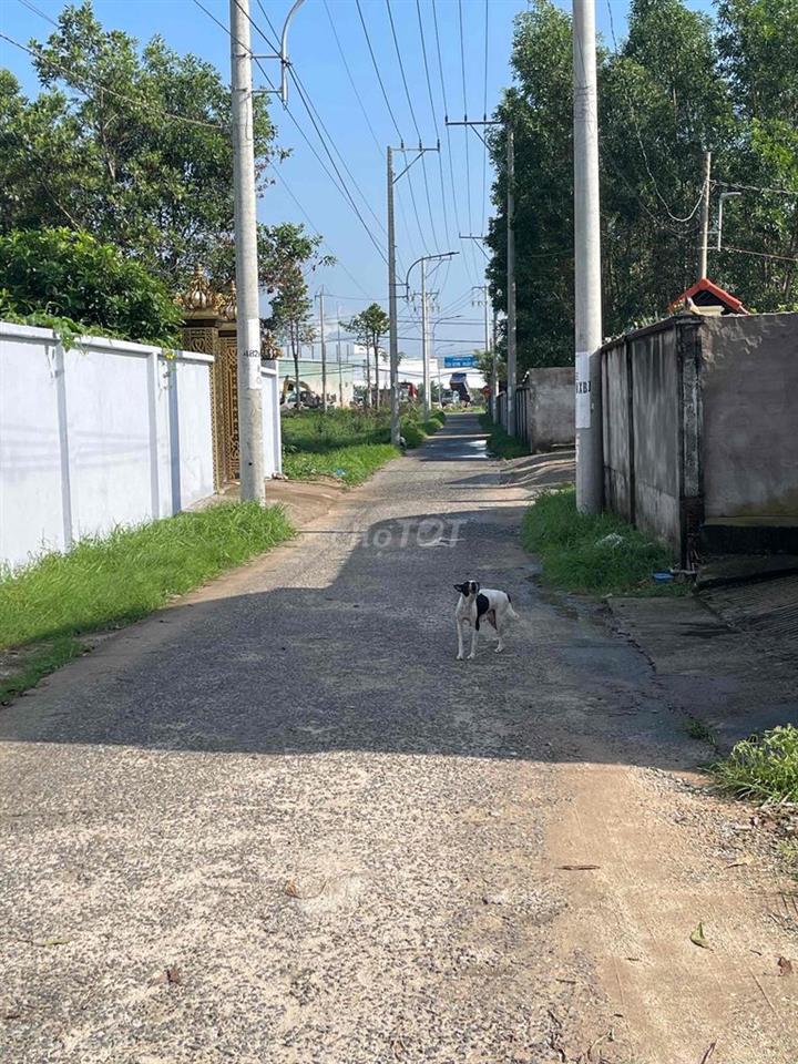 cần bán đất chính chủ dsh 5người