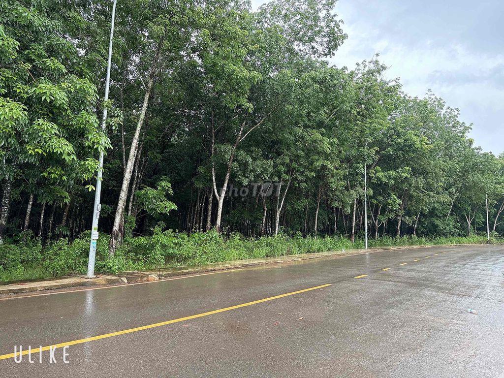 Mặt tiền 45m Huỳnh Văn Bánh, Chơn Thành, Tây Ninh