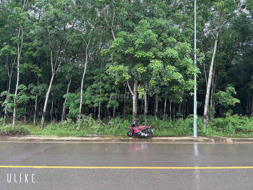Mặt tiền 45m Huỳnh Văn Bánh, Chơn Thành, Tây Ninh