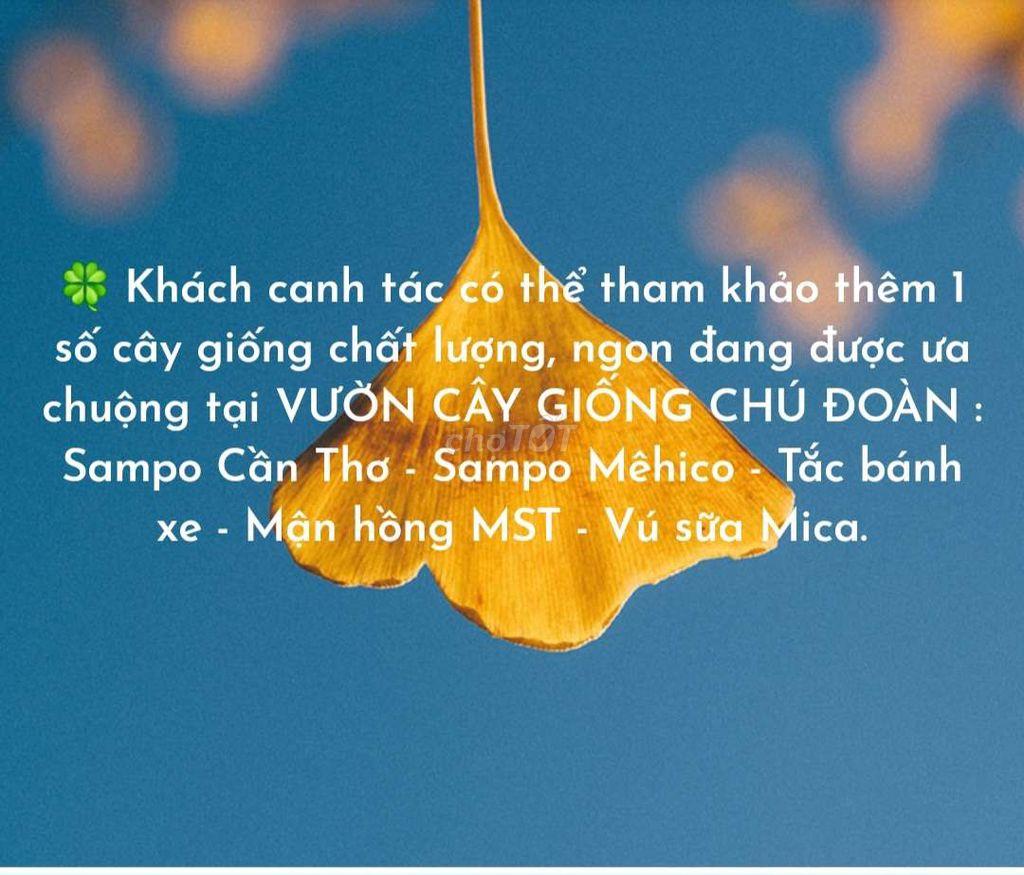 CHỦ CẦN BÁN GẤP - ALO xem đất và giấy tờ giúp e cho nhanh ạh!