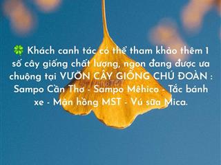 CHỦ CẦN BÁN GẤP - ALO xem đất và giấy tờ giúp e cho nhanh ạh!