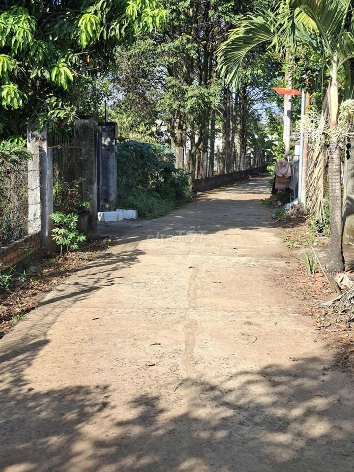 Đất nhà vườn ngã ba Duy Hoà, Hoà Khánh, Buôn Ma Thuột chỉ 1 tỷ/1 lô.