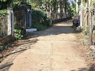 Đất nhà vườn ngã ba Duy Hoà, Hoà Khánh, Buôn Ma Thuột chỉ 1 tỷ/1 lô.