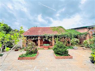 CHO THUÊ NHÀ VƯỜN RỘNG HƠN 2000m2 - Có 5 phòng ngủ khép kín, xây mới