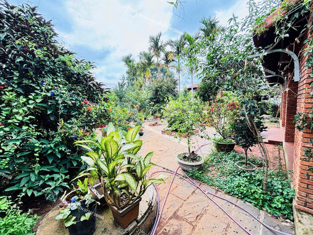 CHO THUÊ NHÀ VƯỜN RỘNG HƠN 2000m2 - Có 5 phòng ngủ khép kín, xây mới