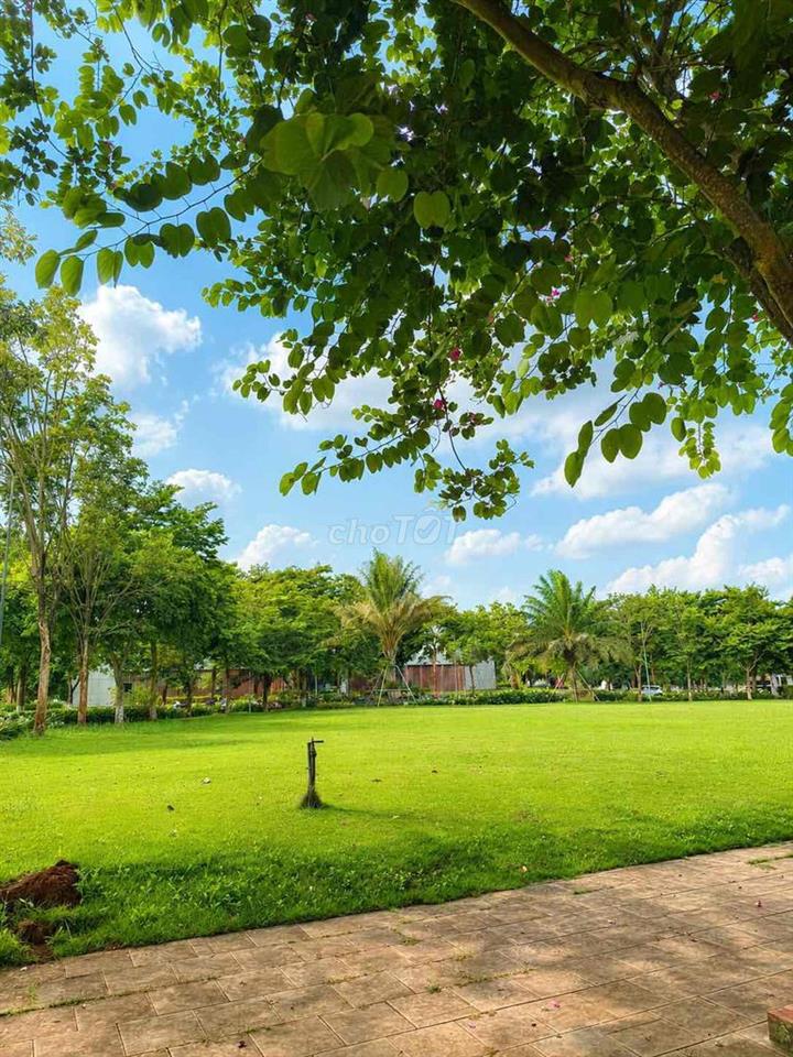 CHÍNH CHỦ | Căn hộ 1PN full nội thất Eco City Premia | Thang máy, máy