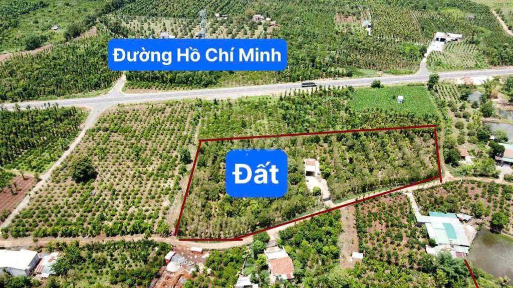 đất rẫy chính chủ cần thanh lí gấp