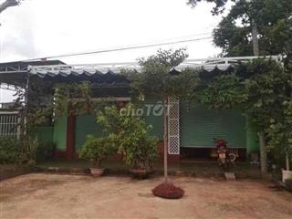 bán đất mặt tiền QL14, có nhà kiên cố 200m2. vị trí thuận lợi buôn ban