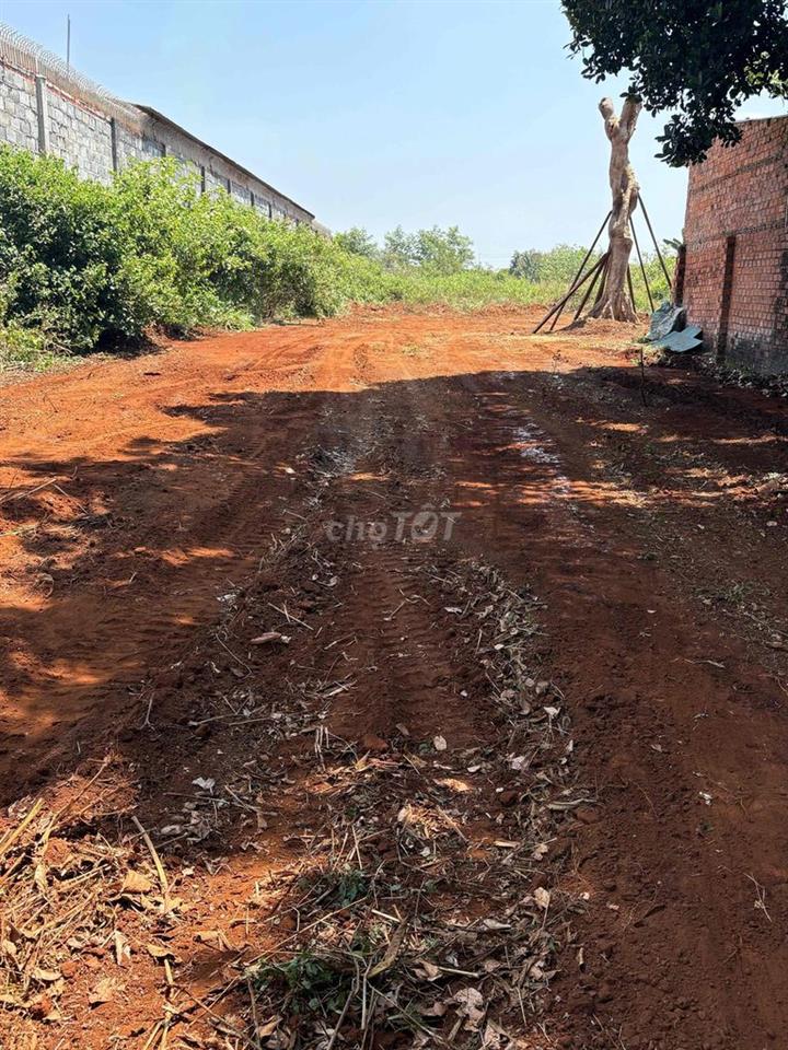một nhà cấp 4 gần trường hoàng việt và cho mượn 3 xào đất tốt