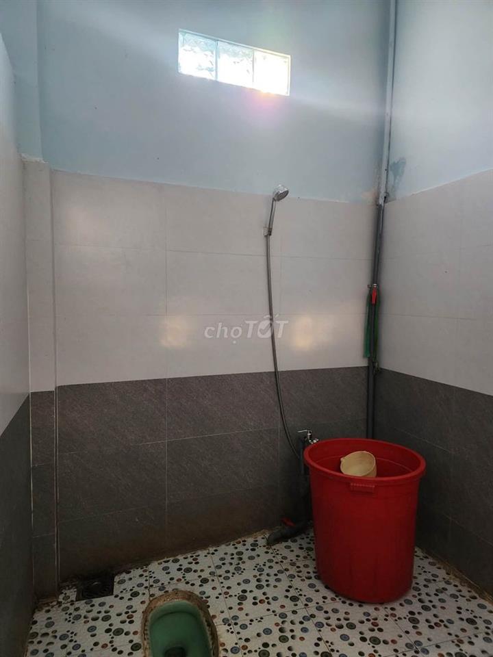 Cho thuê nhà mùa sầu riêng
