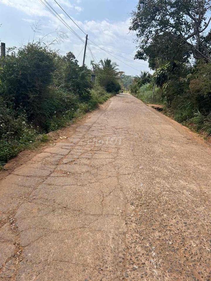 Đất chính chủ. cách QL14 hơn 1km . đường bê tông. mặt tiền đường chính