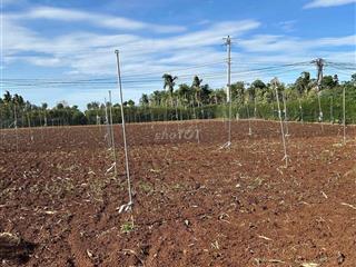 Đất hoà khánh mặt tiền đường gần trung tâm tp bmt