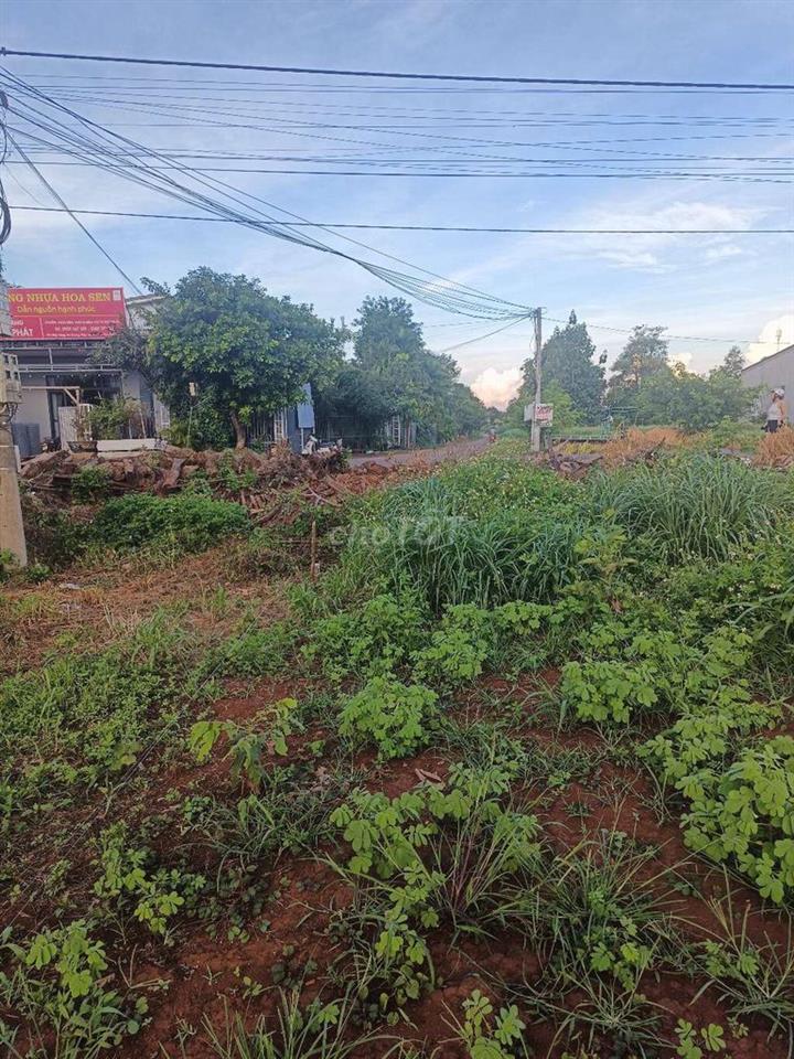 cần tiền nên bán gấp