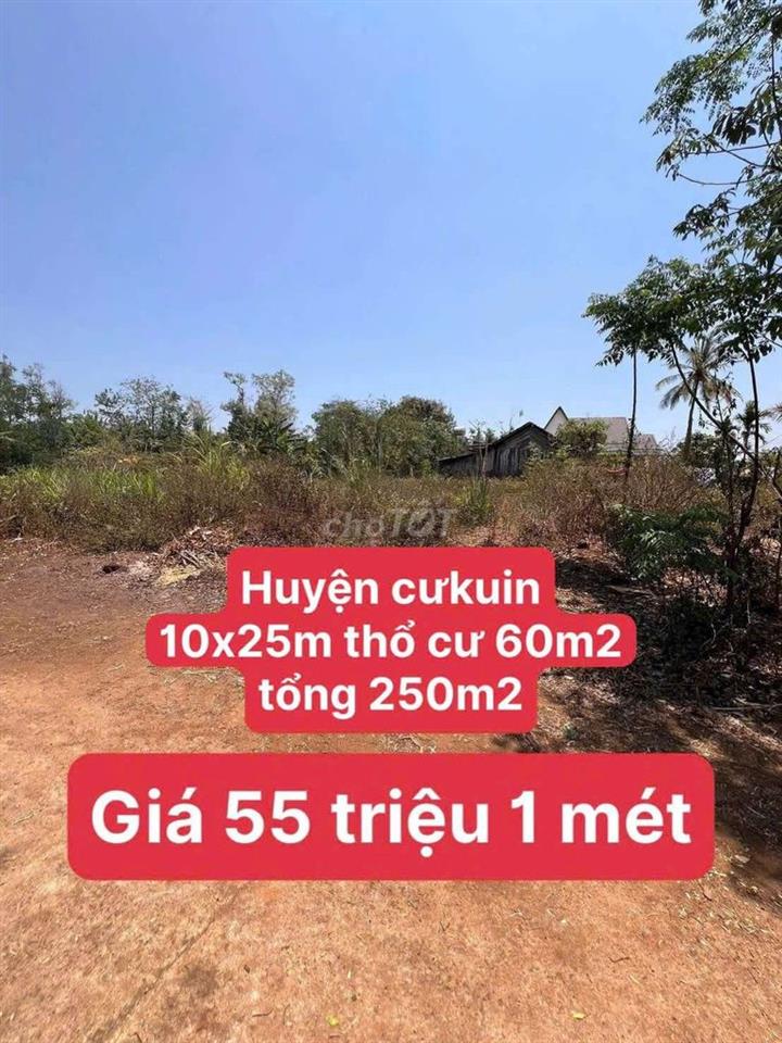 🔥 ĐẤT ĐẸP CƯKUIN – 250M², CÓ 60M² THỔ CƯ – GIÁ CHỈ 55 TRIỆU/MÉT 🔥