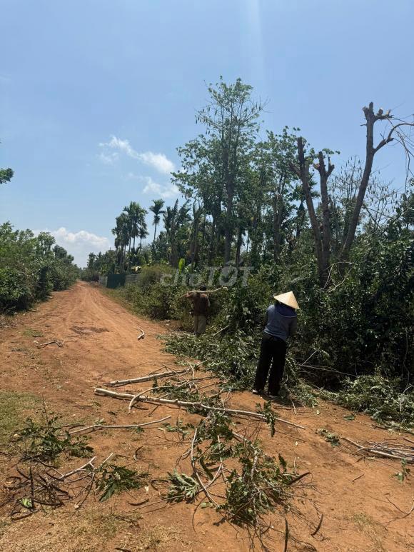 BÁN 2 THỬA ĐẤT CHÍNH CHỦ – SỔ HỒNG RIÊNG