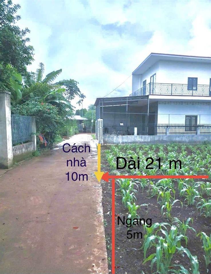 BÁN ĐẤT NỀN KDC BUÔN JU (ĐẠT LÝ) – P. TÂN AN, BMT