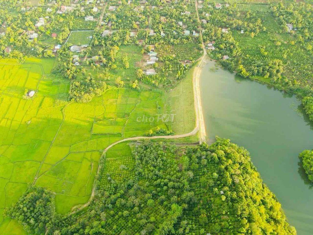 ĐẤT ĐỒI - Ô Tô Tận Nơi