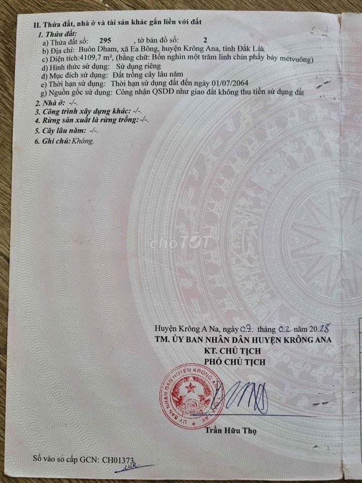 ĐẤT ĐỒI - Ô Tô Tận Nơi
