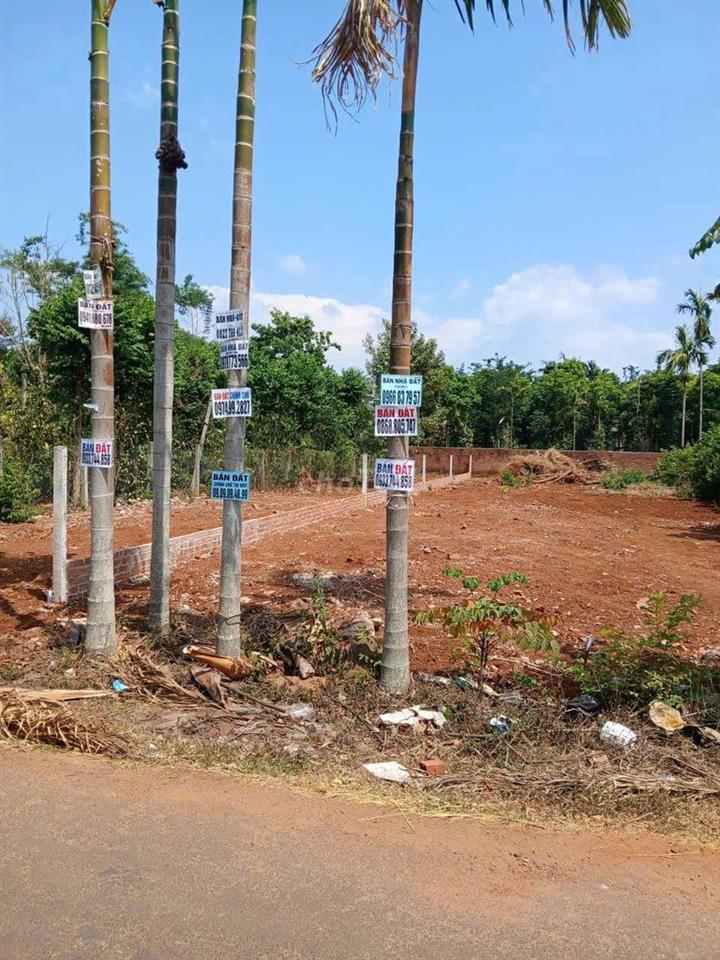 Bán đất đường N2, Đạt Lý, Tân An