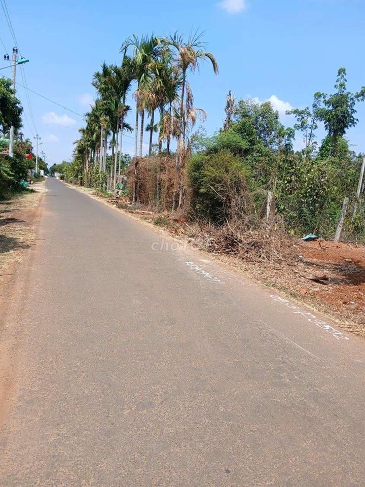Bán đất đường N2, Đạt Lý, Tân An
