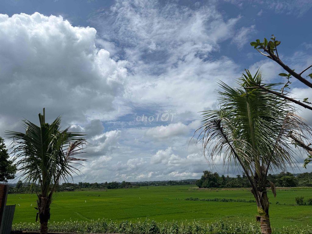🌳 CHÍNH CHỦ BÁN ĐẤT ĐẸP THÔN TỰ THÀNH – PHƯỜNG EA KAO, ĐẮK LẮK