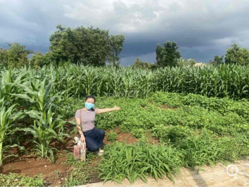 Tôi CHÍNH CHỦ muốn bán miếng đất này, ai có nhu cầu xin liên hệ!