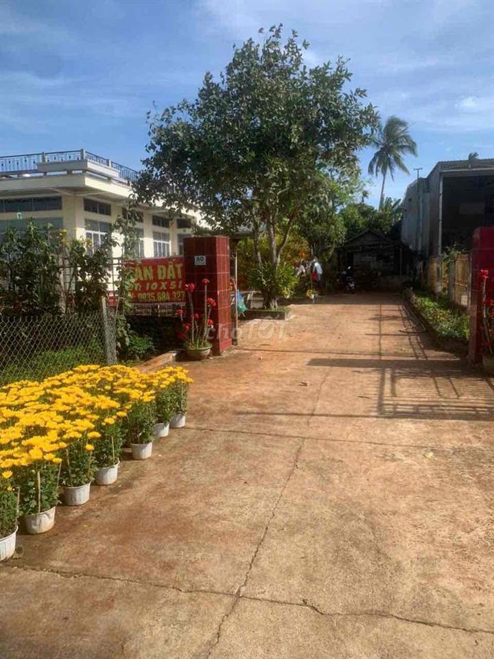 bán đất đường giao phóng