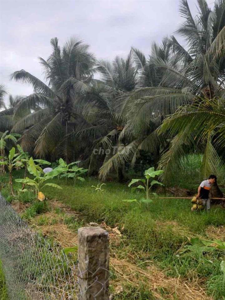 đất giá rẻ