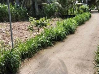 đất giá rẻ