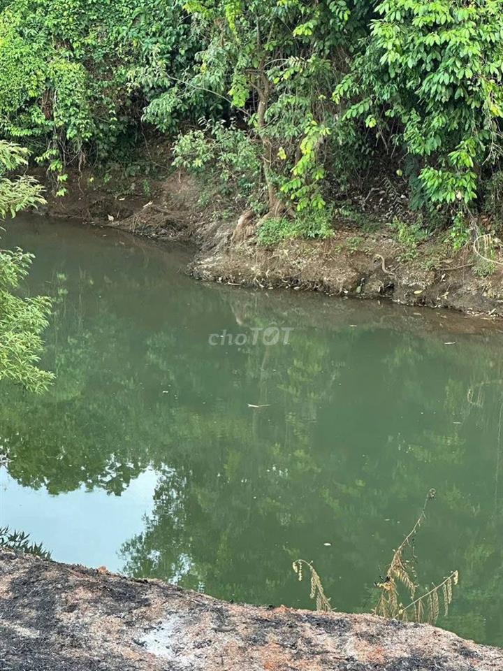 Cần bán 3,7 ha đất rẫy