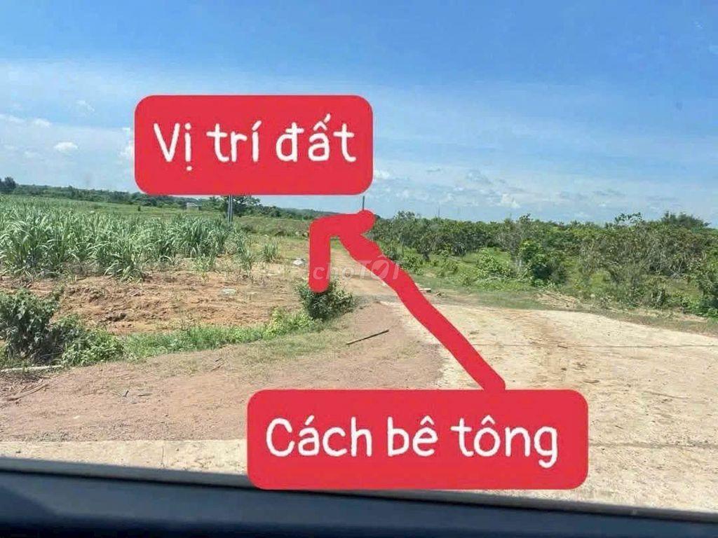Cần bán 3,7 ha đất rẫy