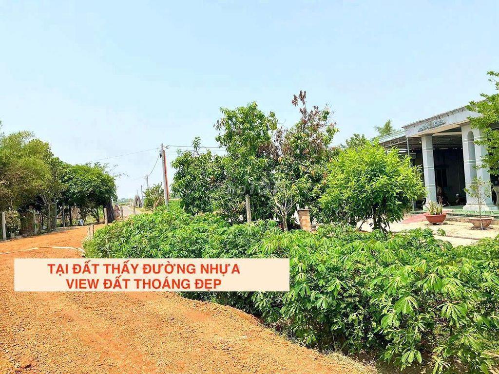5x35 175m2 đất ở full thổ cư dân cư đông sát nhựa Tân Biên Tây Ninh