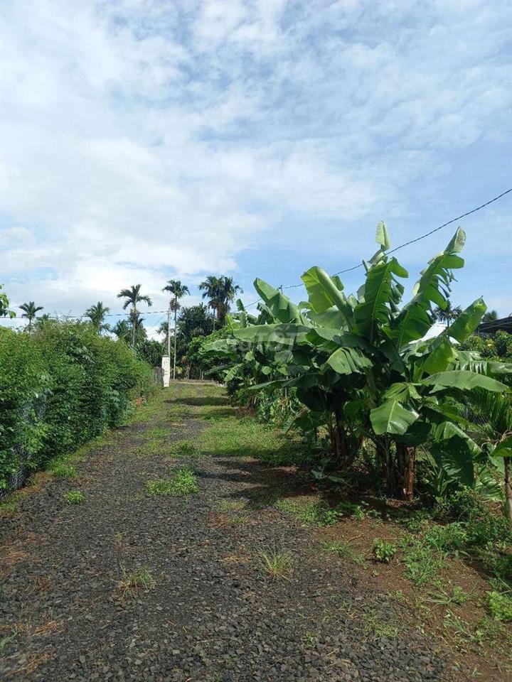 Khu Vườn Nhỏ