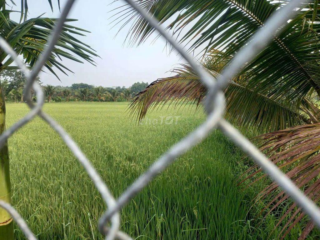 Khu Vườn Nhỏ