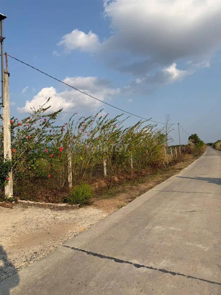Bán trang trại