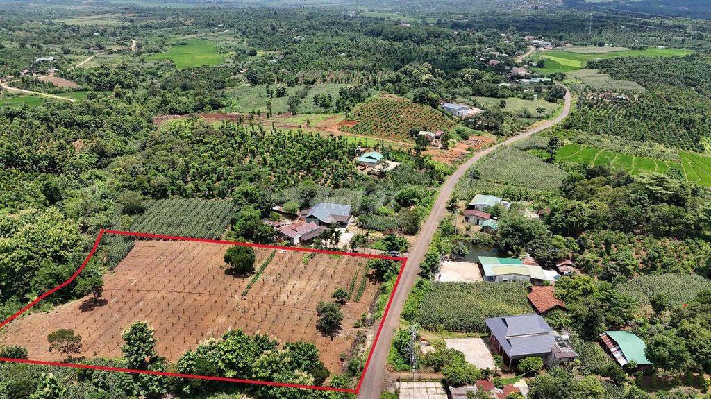 Đất sào ONT đường liên xã Đắk Lắk