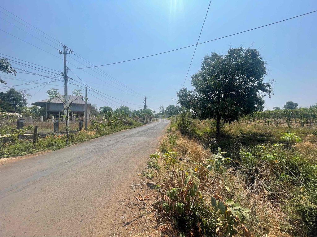 Đất sào ONT đường liên xã Đắk Lắk