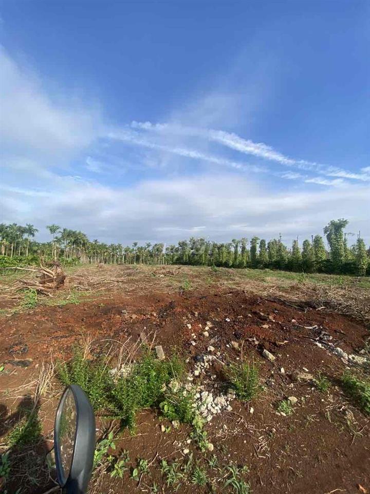 đất gần nút giao cao tốc đak lak nha trang
