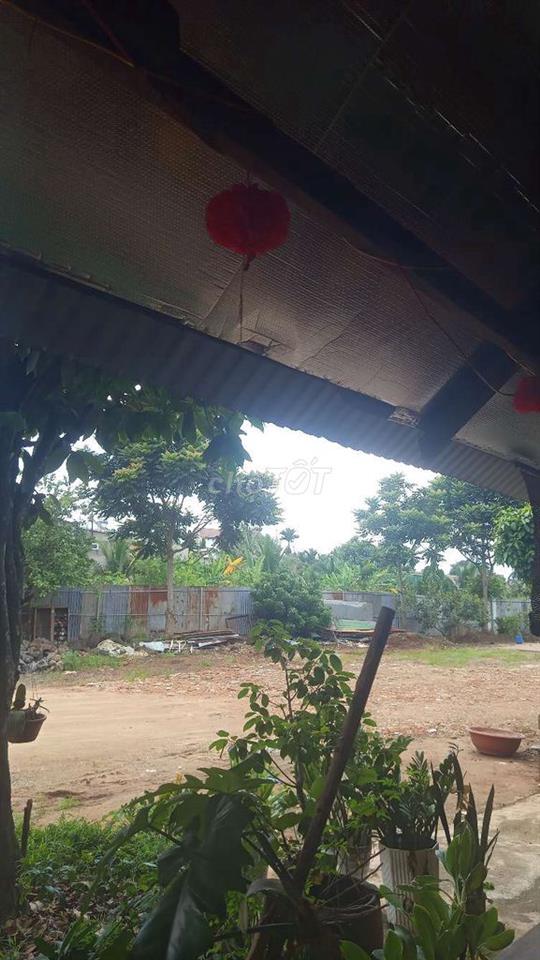 cần cho thuê 