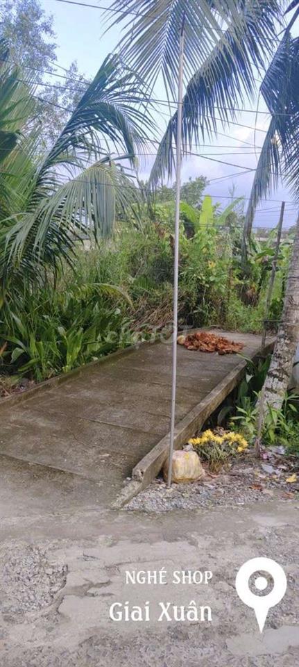 bát đất cln ấp thới hưng phong điền cần thơ