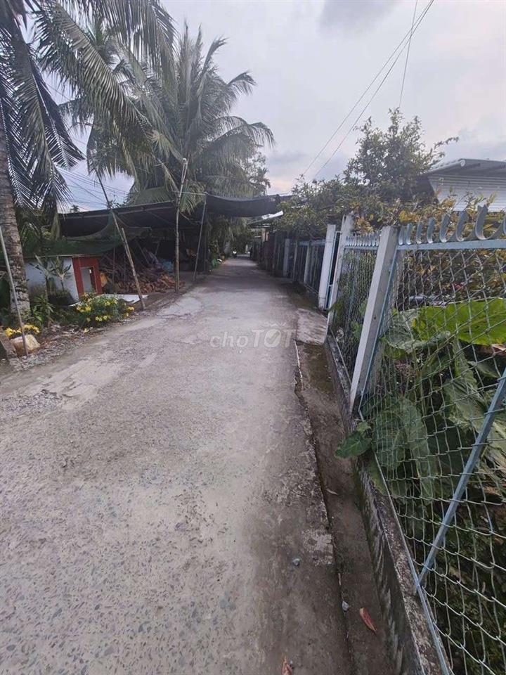 bát đất cln ấp thới hưng phong điền cần thơ