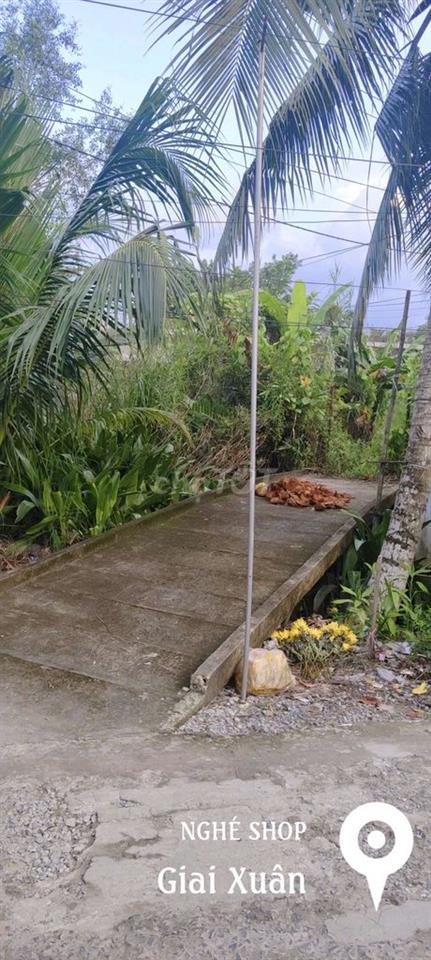 bát đất cln ấp thới hưng phong điền cần thơ