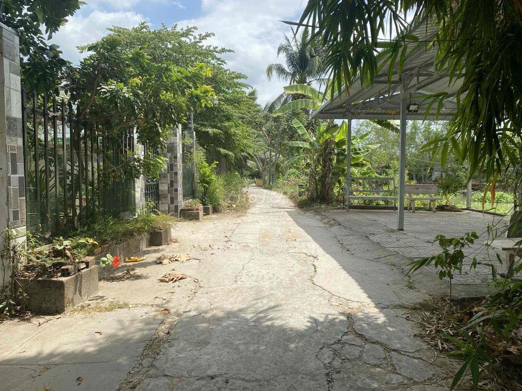 nhà vườn gần ĐẠI HỌC TÂY ĐÔ