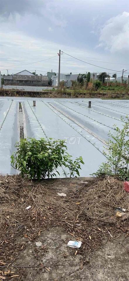 đất nền gần bệnh viện NHI ĐỒNG