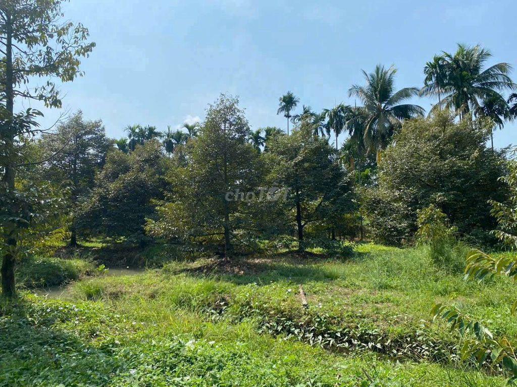 Bán 66m Mặt tiền tỉnh lộ 926 ( 16.000m2)