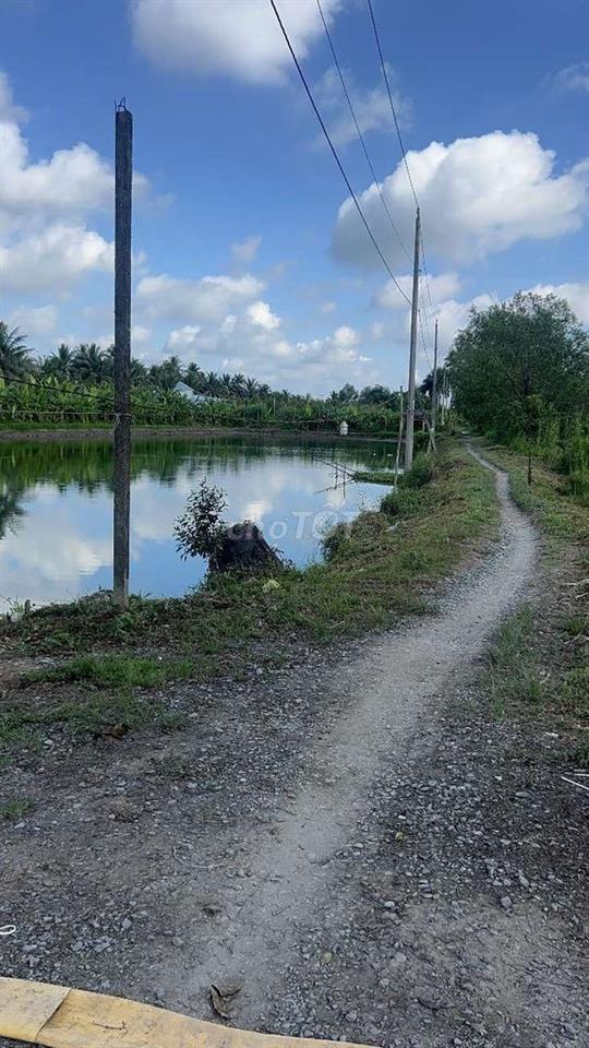 🔥 CẦN BÁN KHU ĐẤT 2 HÉCTA CẬP RANH SIÊU DỰ ÁN 6,2 TỶ USD VINGROUP